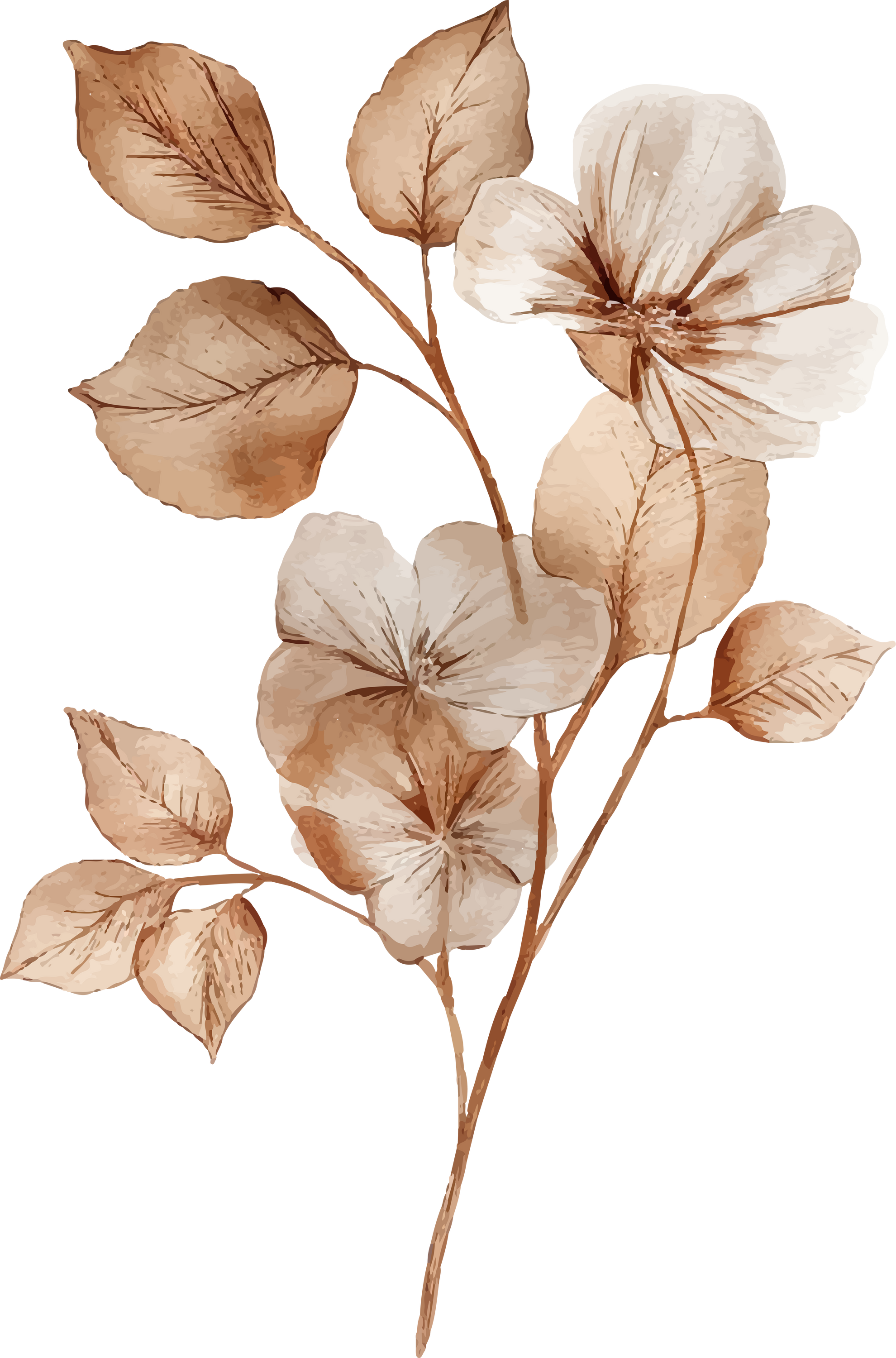 Aesthetic Brown Flower Watercolor